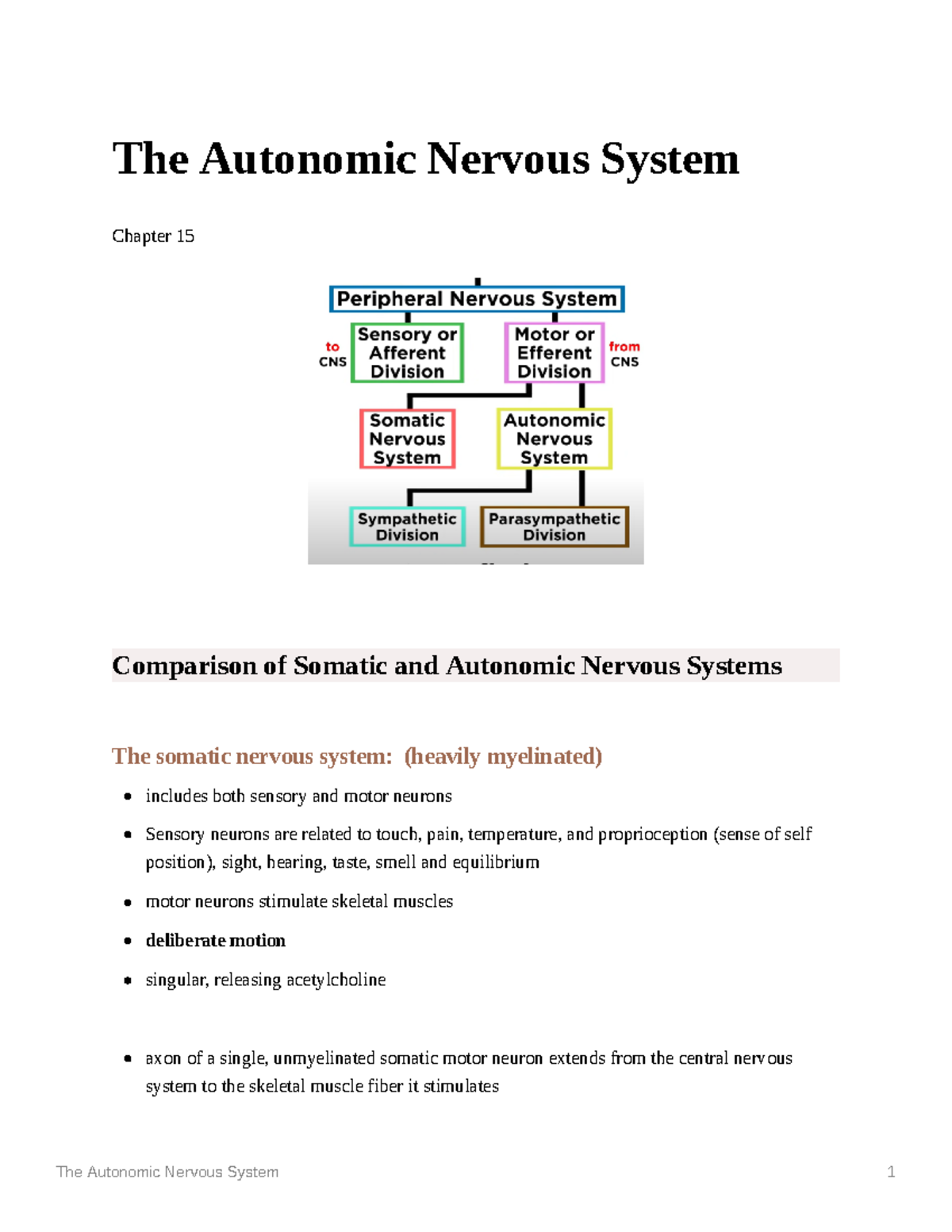 The Autonomic Nervous System - The Autonomic Nervous System Chapter 15 ...