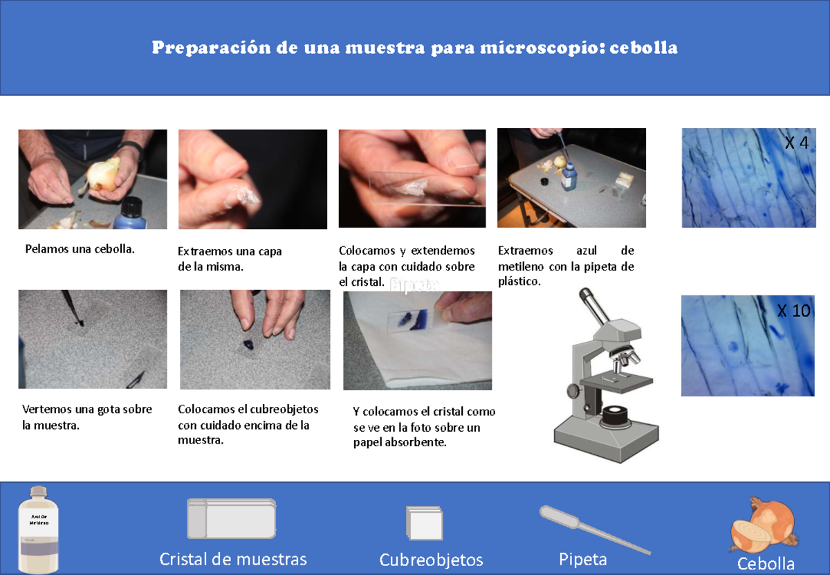 El microscopio en el aula - Preparación de una muestra para microscopio