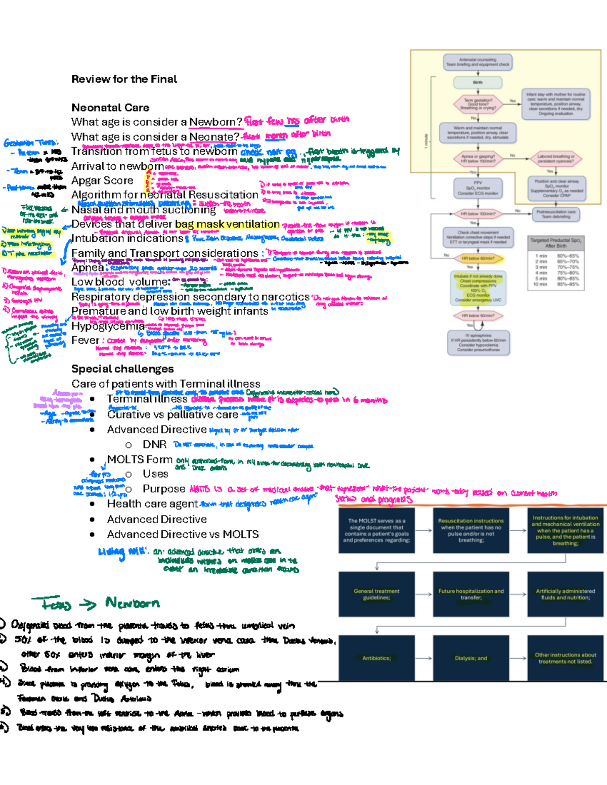Review for the Final - Notes - Review for the Final Neonatal Care What ...