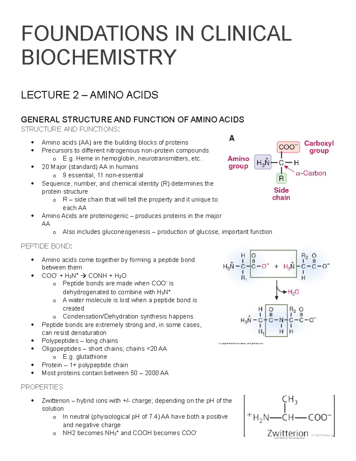 FCB Lecture 2 notes - FOUNDATIONS IN CLINICAL BIOCHEMISTRY LECTURE 2 ...