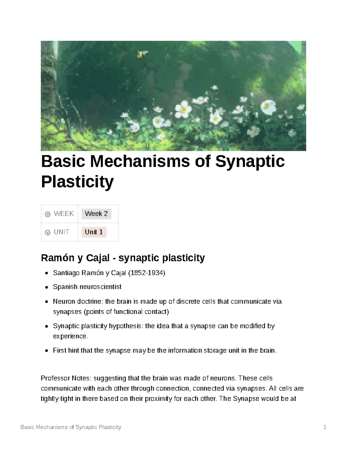 Basic Mechanisms of Synaptic Plasticity - Basic Mechanisms of Synaptic ...
