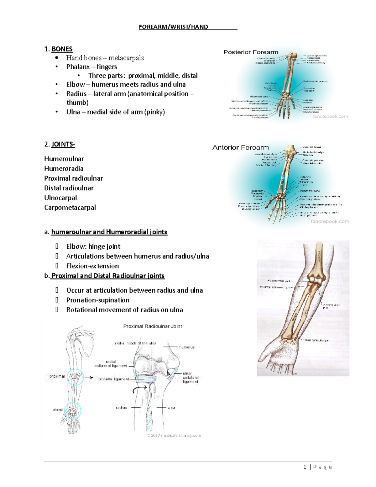 Wrist ppt - notes - 1. BONES Hand bones – metacarpals Phalanx – fingers ...