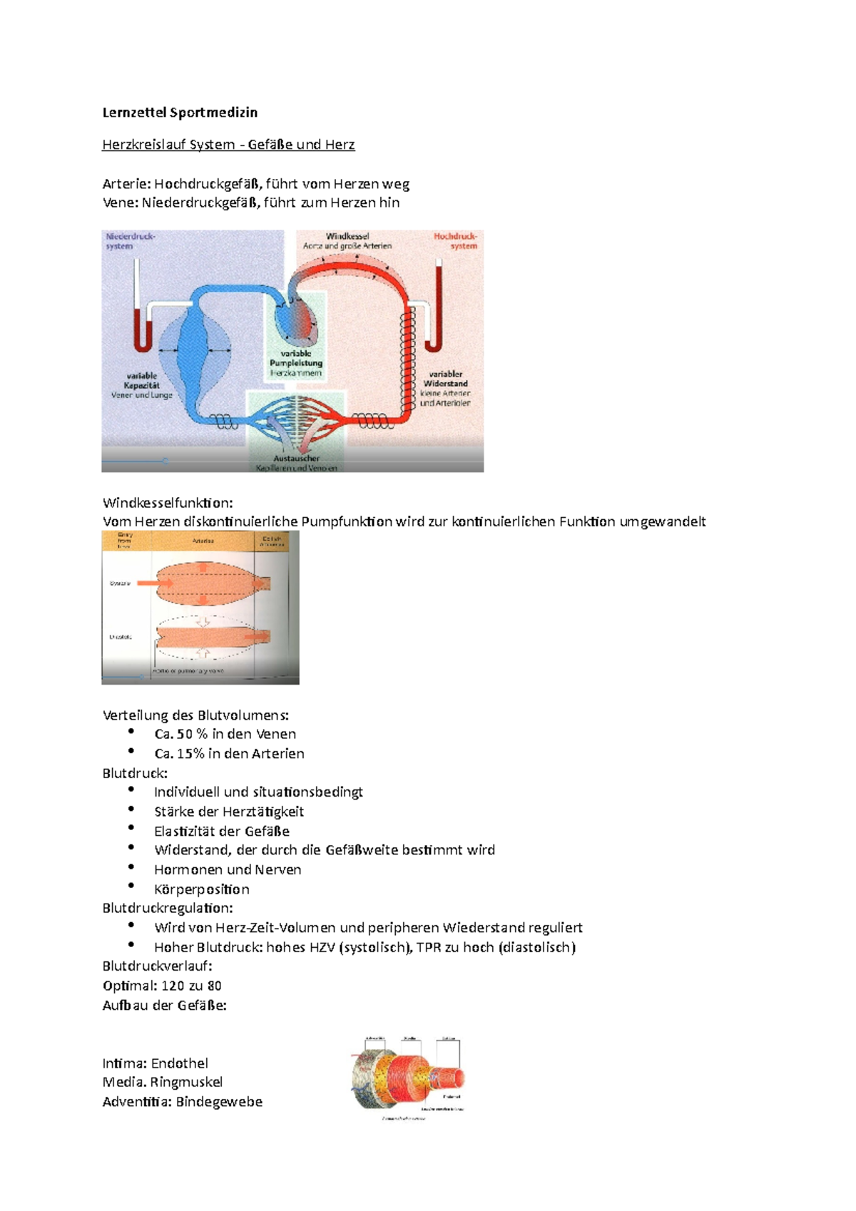 Lernzettel - Sportmedizin WiSe 2021/22 - Lernzettel Sportmedizin ...