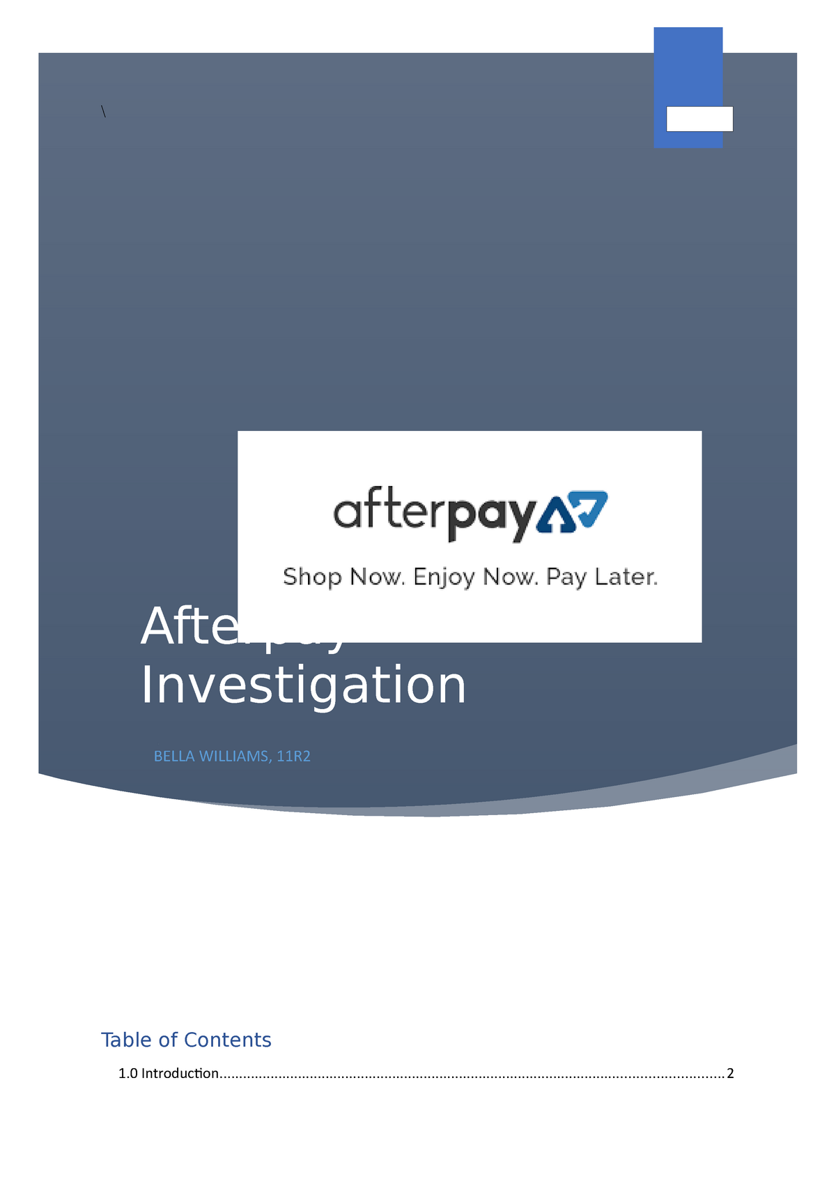 Afterpay's Success Story: In-depth Case Study - Insil®