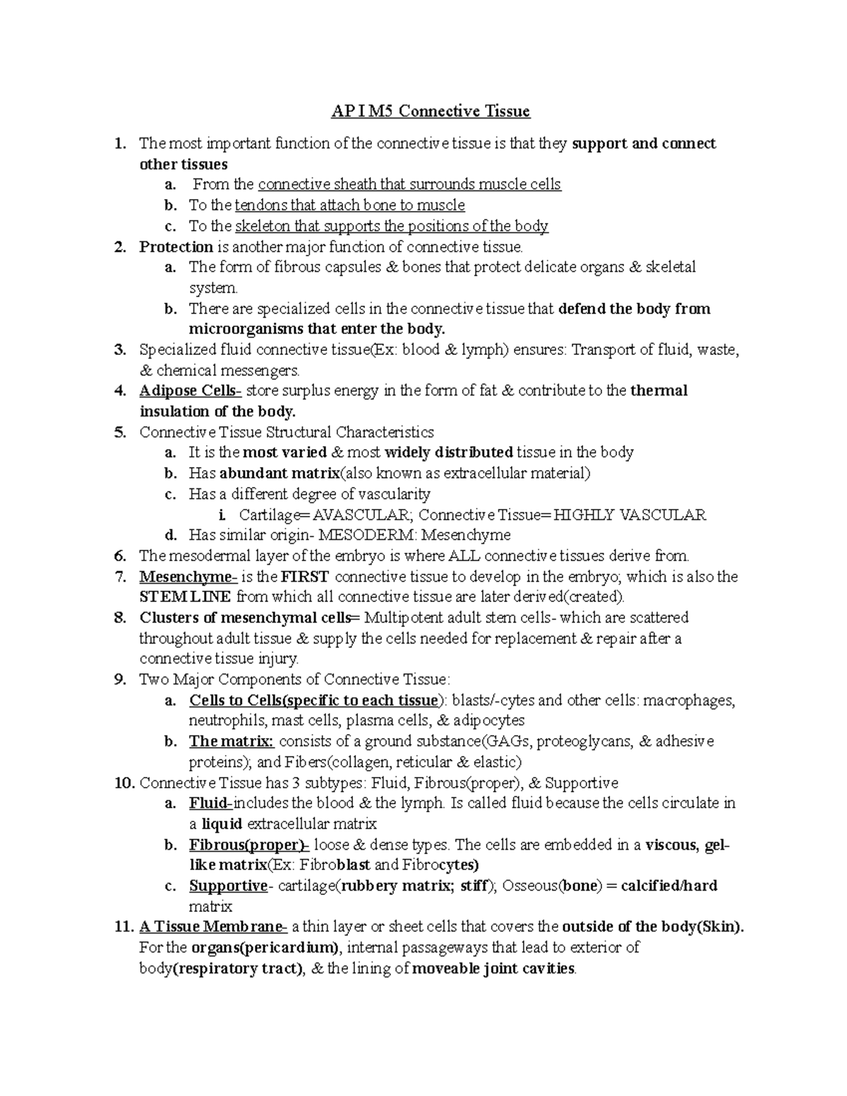 ap-i-m5-connective-tissue-ap-i-m5-connective-tissue-the-most