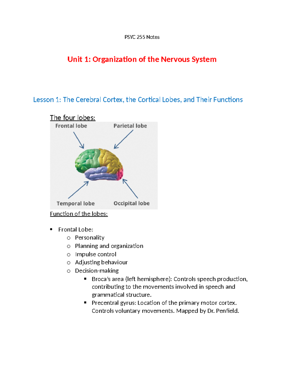 Psyc 255 Notes Psyc 255 Notes Unit 1 Organization Of The Nervous Psyc 255 Notes Psyc 255 Notes Unit 1 Organization Of The Nervous