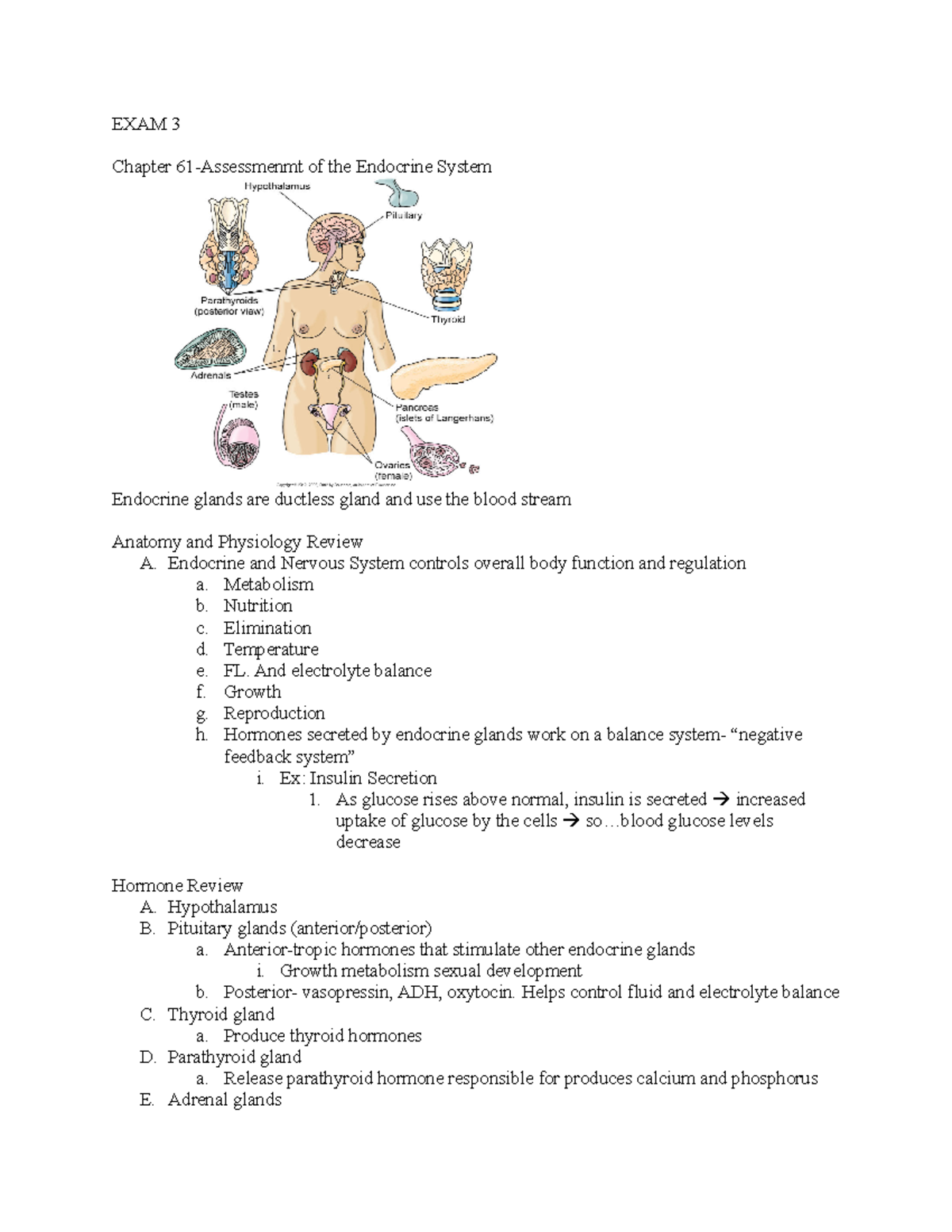 EXAM 3 - study guide - EXAM 3 Chapter 61-Assessmenmt of the Endocrine ...