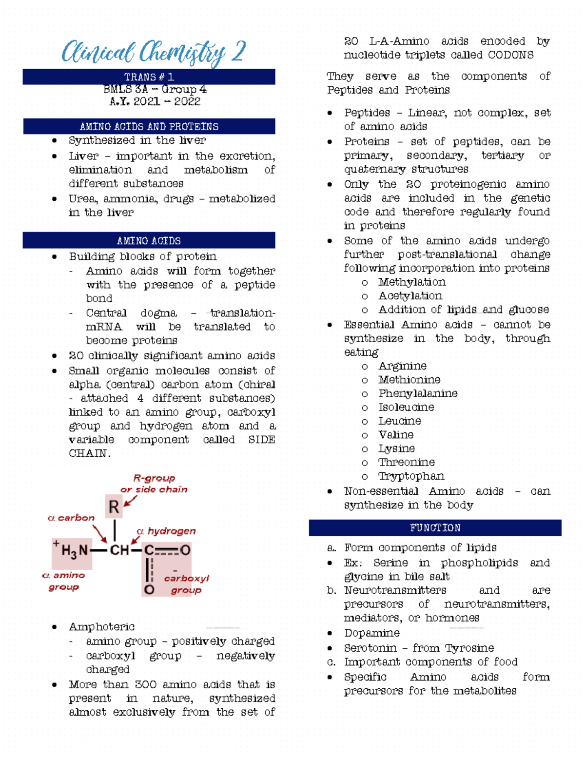 CC2 Amino ACID Trans - clinical chemistry - Clinical Chemistry 2 BMLS ...