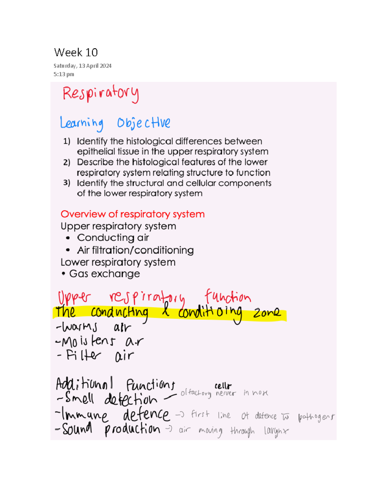 Week 10 histo - Week 10 notes - SHS 210 - Week 10 Saturday, 13 April ...