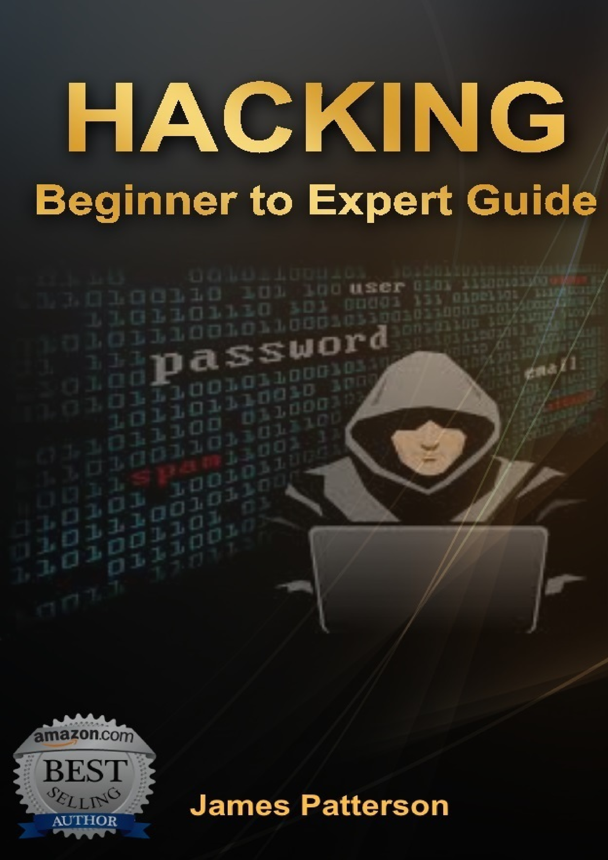 Hacking Beginner to Expert Guide to Computer Hacking, Basic Security ...