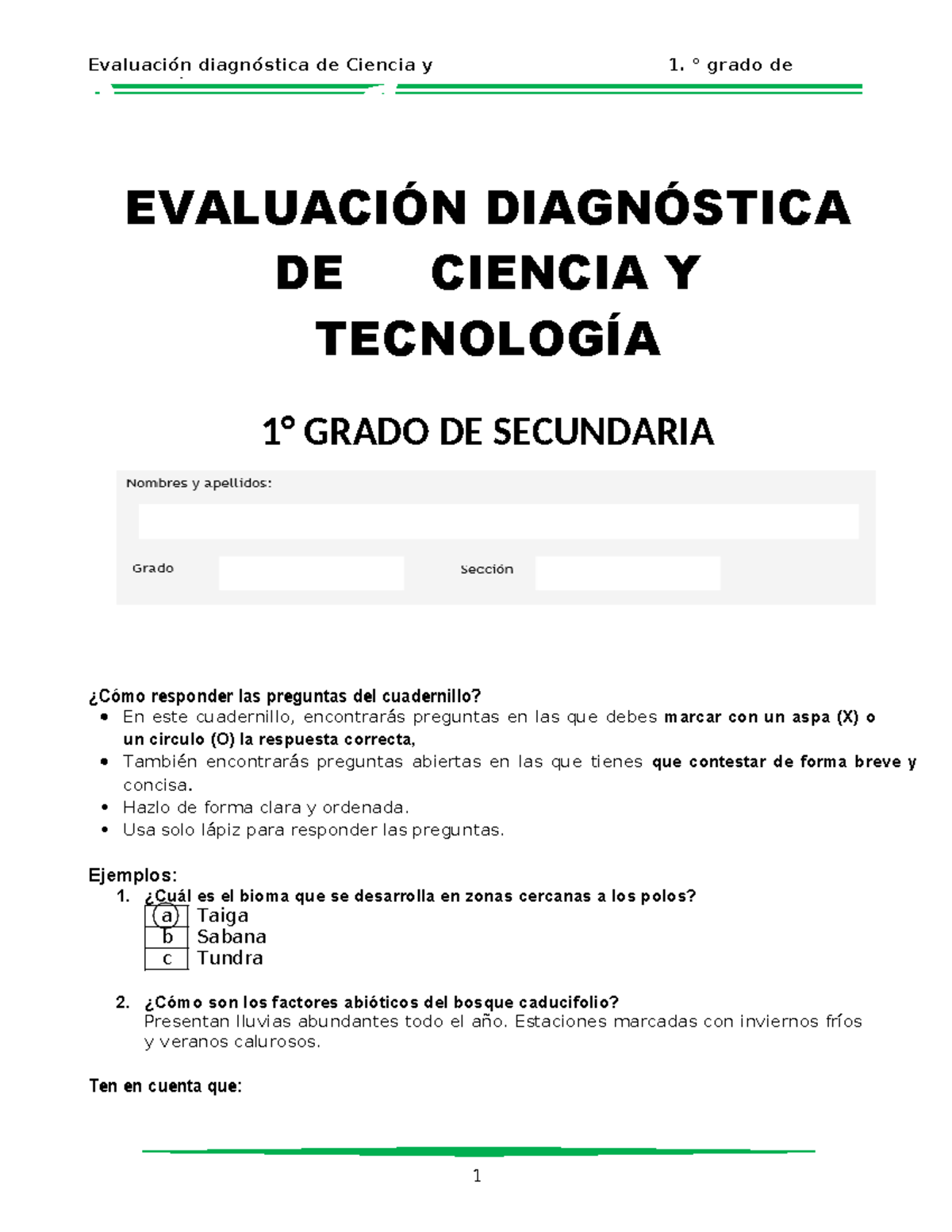 EVA11 - Tecnología secundaria a EVALUACIÓN DIAGNÓSTICA DE CIENCIA Y ...