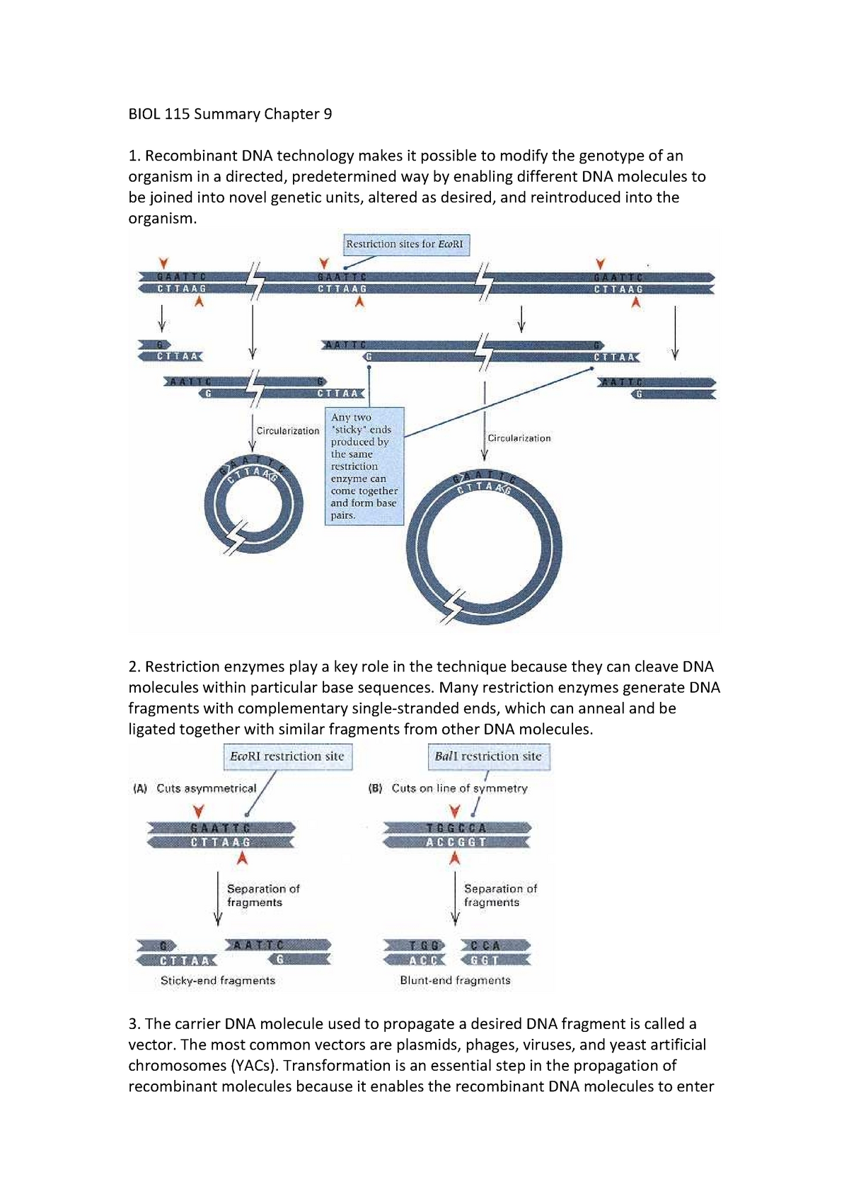 BIOL 115 Summary Chapter 9 - BIOL 115 Summary Chapter 9 Recombinant DNA