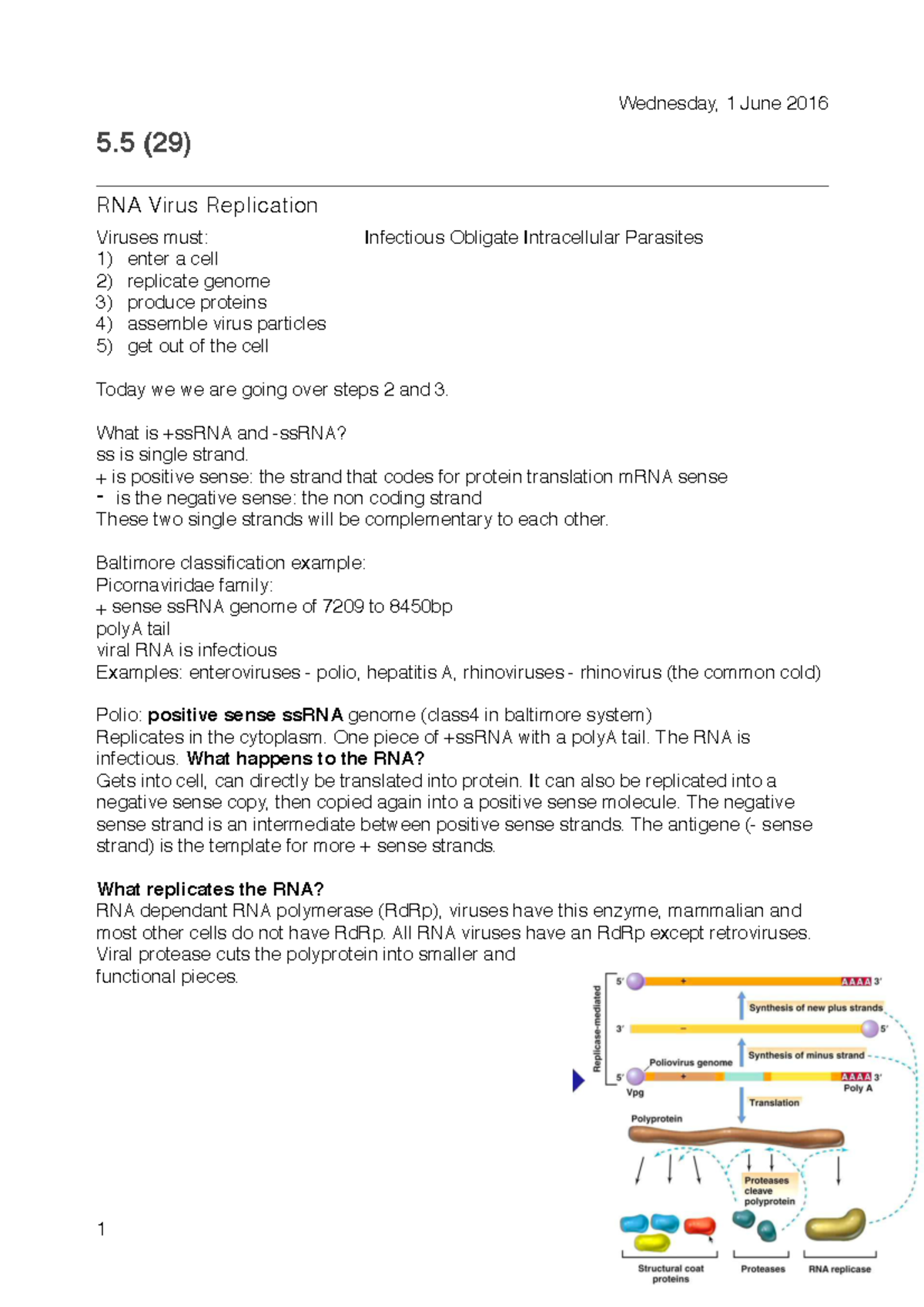 Module 5 Lecture 5 - Wednesday, 1 June 2016 5 (29) RNA Virus ...