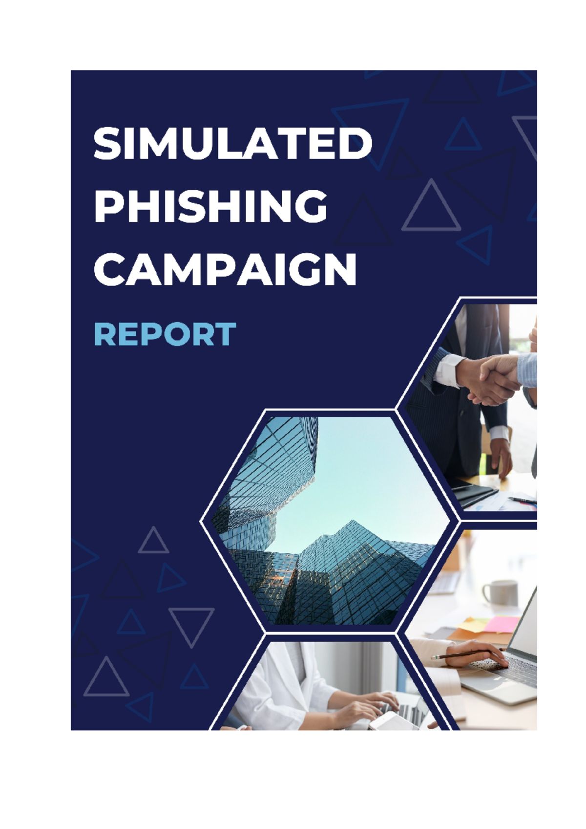 Campaign report - Table of content Introduction - Studocu