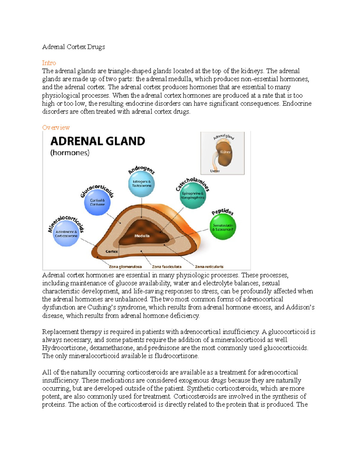 Adrenal Cortex Drugs Overview and Functions Studocu