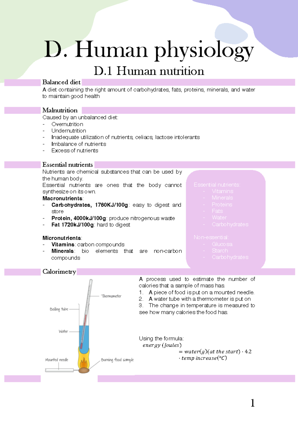 D. Human physiology - biology sl - D. Human physiology D Human ...