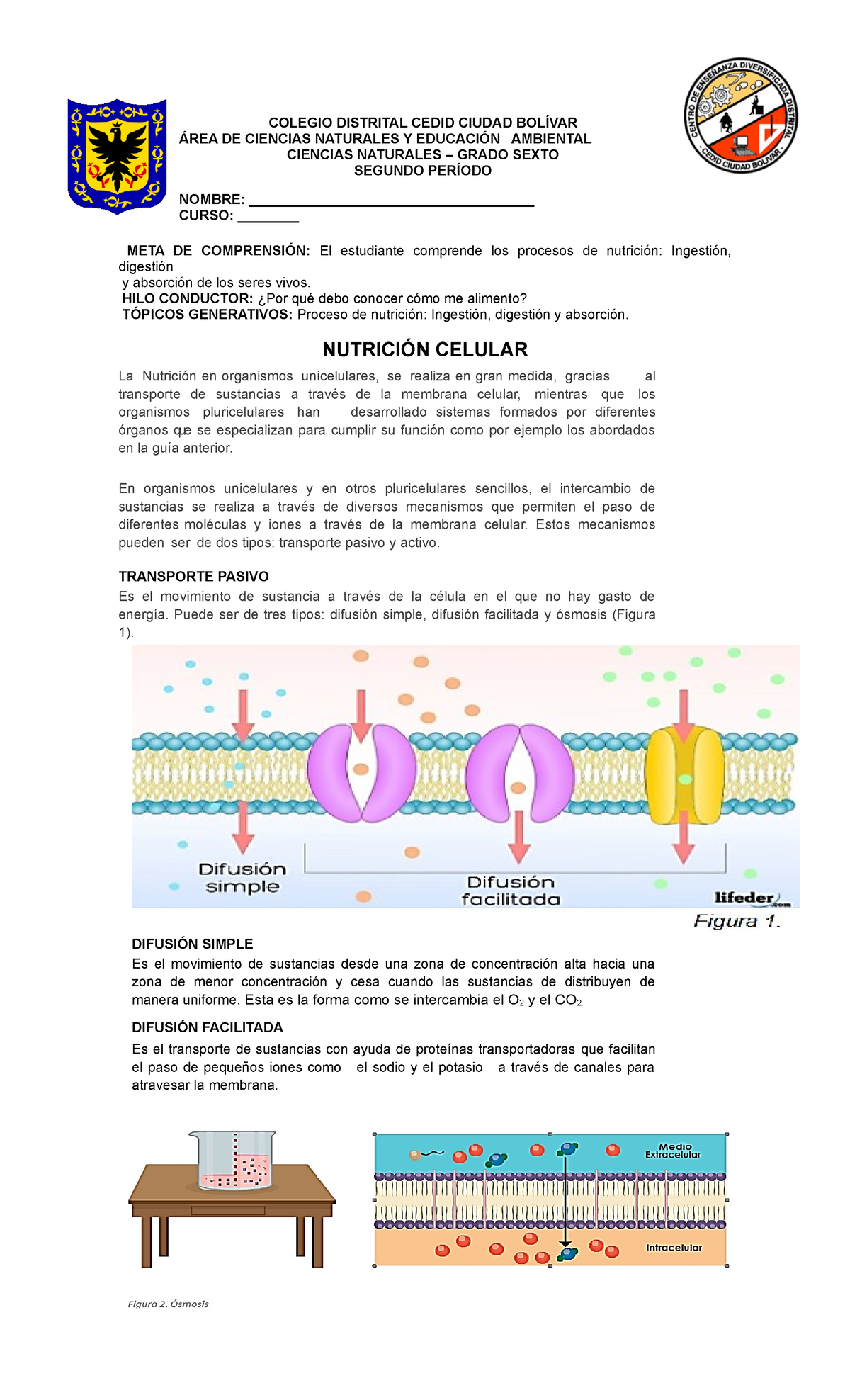 GUIA 4. Nutricion Celular - COLEGIO DISTRITAL CEDID CIUDAD BOLÍVAR ÁREA ...