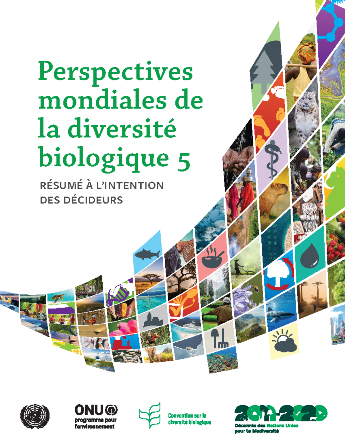SCDB,2020 - Plan de cours - GSE6003 - ULaval - Studocu