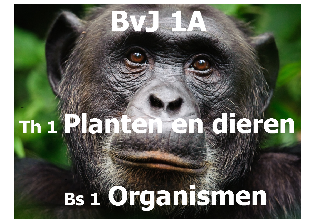 Thema 1 Basisstof 1 - Bs 1 Organismen Th 1 Planten En Dieren BvJ 1A ...