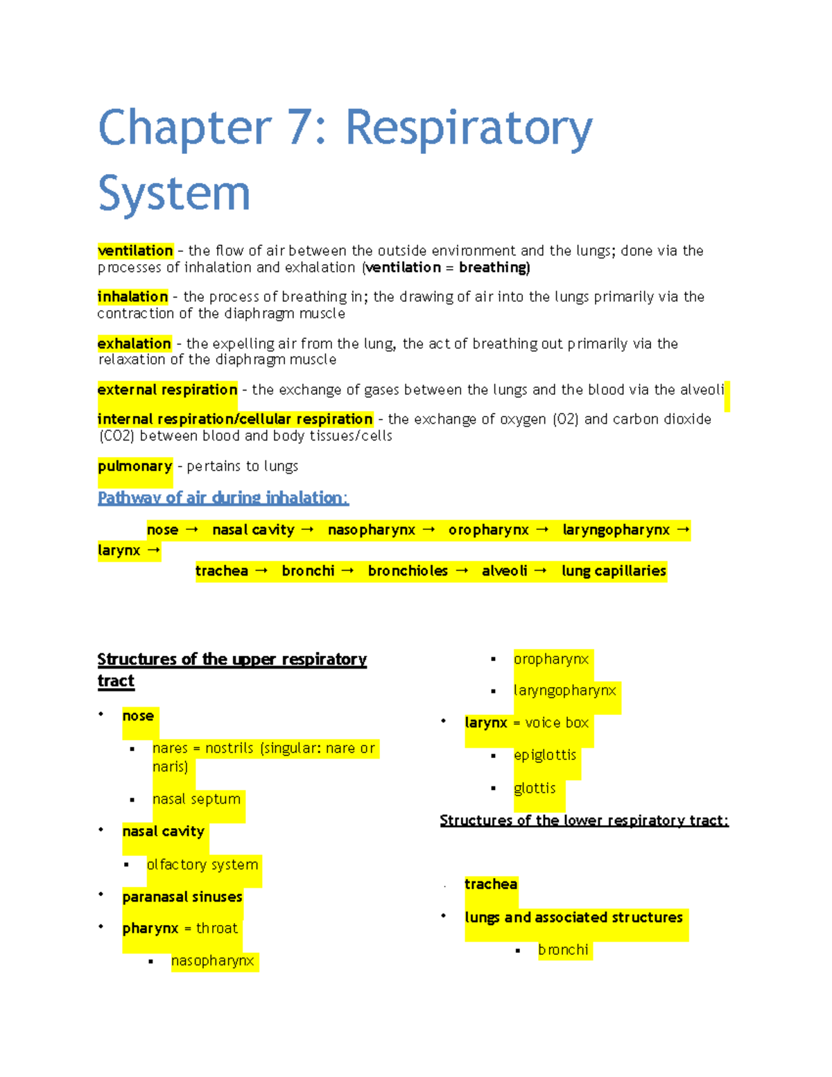 CH 7 Respiratory System - Chapter 7: Respiratory System ventilation ...