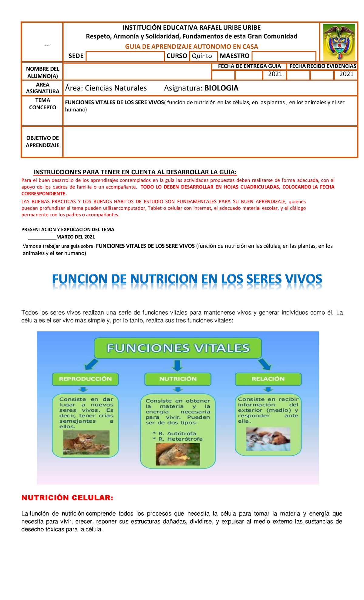 Guia 2 Funcion De Nutricion En Los Seres Vivos 5 Tole R A N Ci A Instituci”n Educativa 