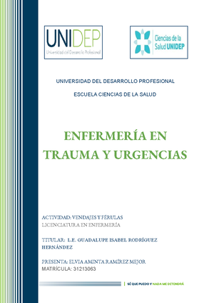 PLAN DE Accion Inmuebles - PLAN DE ACCIÓN NOMBRE DEL PROYECTO ...