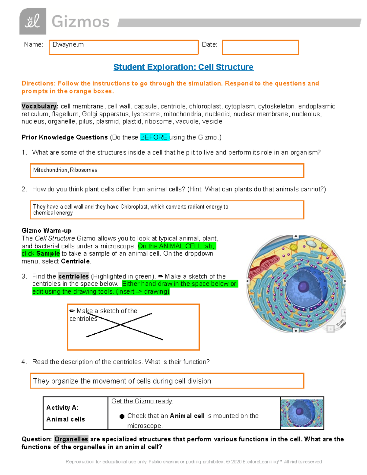 Copy of Cell Structure SE - Name: Dwayne Date: Student Exploration ...