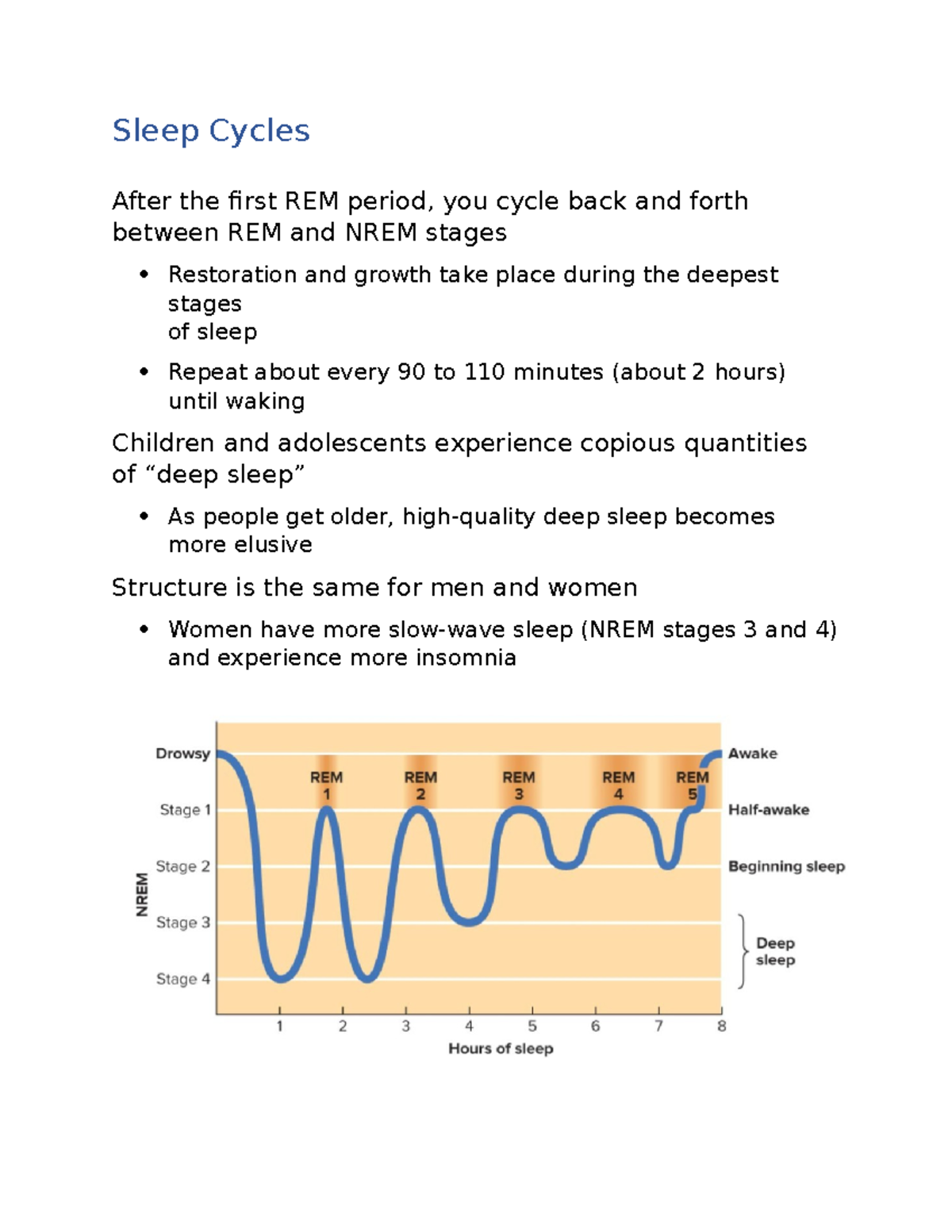 HEED 300 Chapter 4 Notes p2 Sleep Cycles After the first REM period, you cycle back and forth