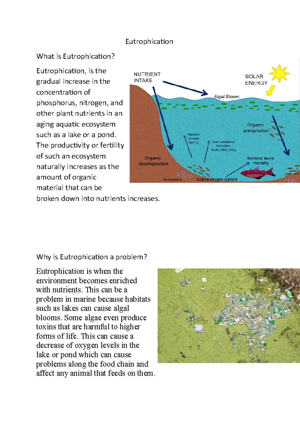 Eutrophication 1 - Eutrophication What Is Eutrophication ...