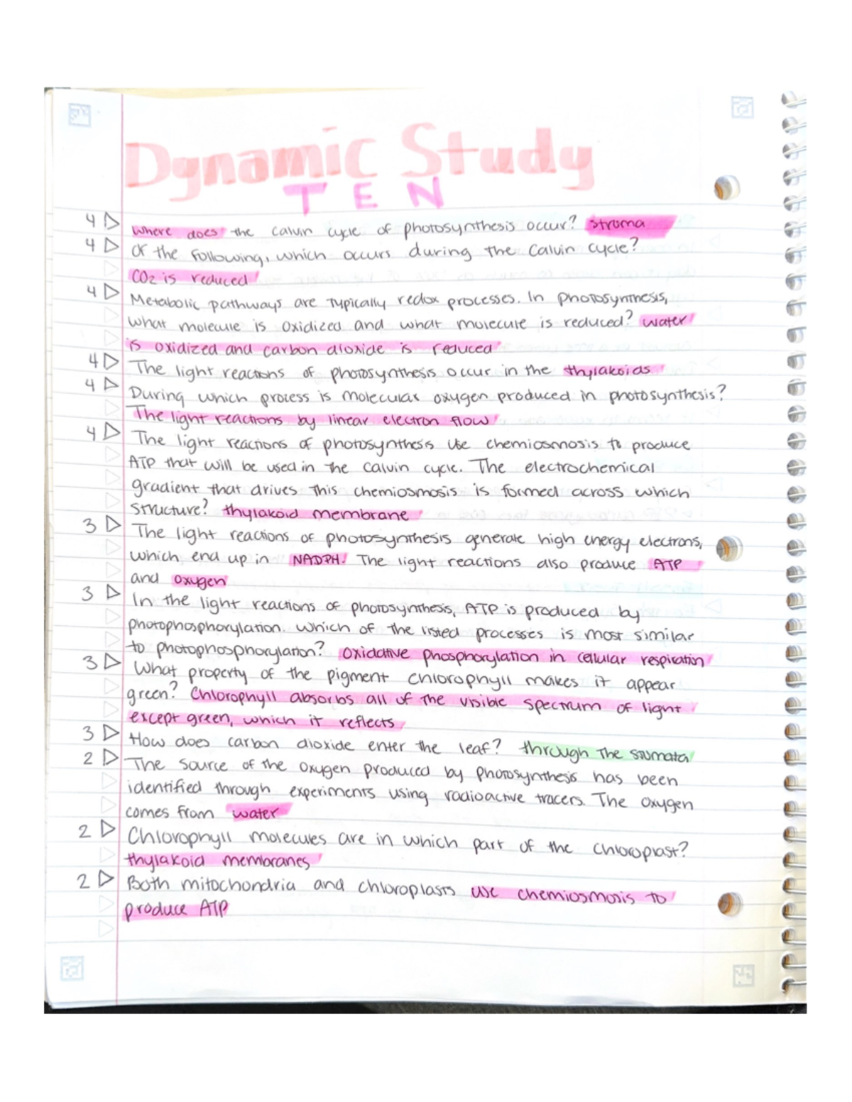 Chapter 10 dynamic study and my lab - BSC2010 - Studocu