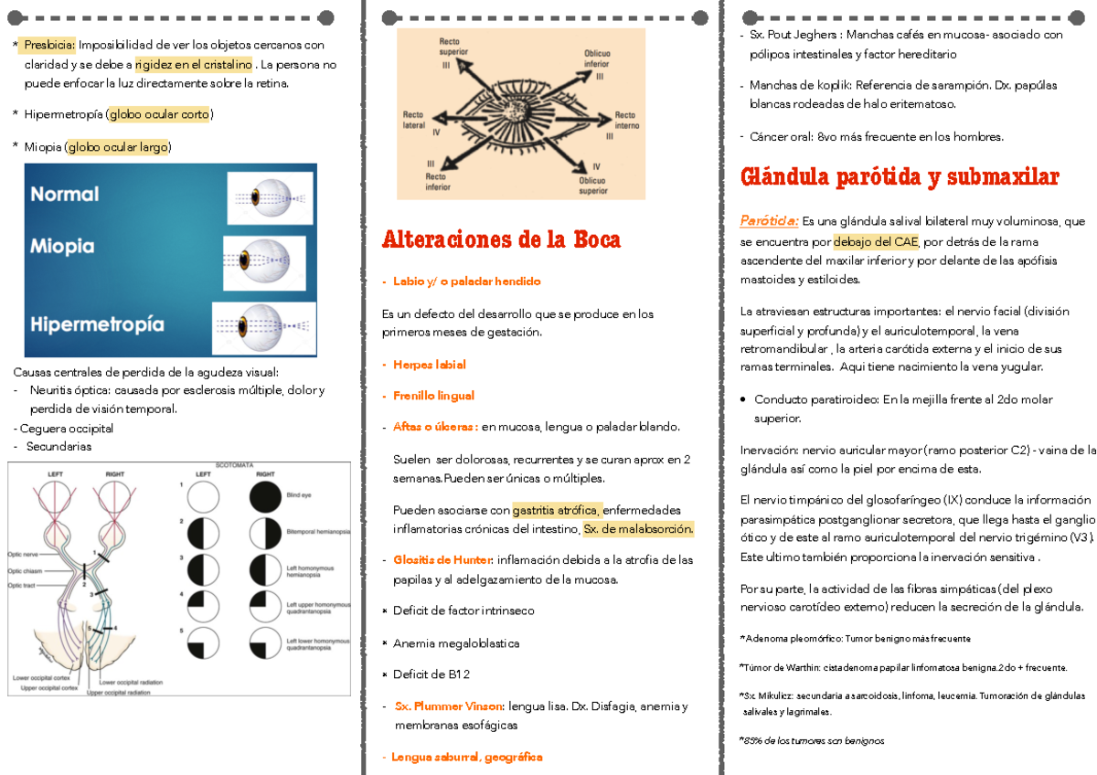 Anatomia clínica 2 - Apuntes 2-3 - Alteraciones de la Boca - Labio y/ o ...
