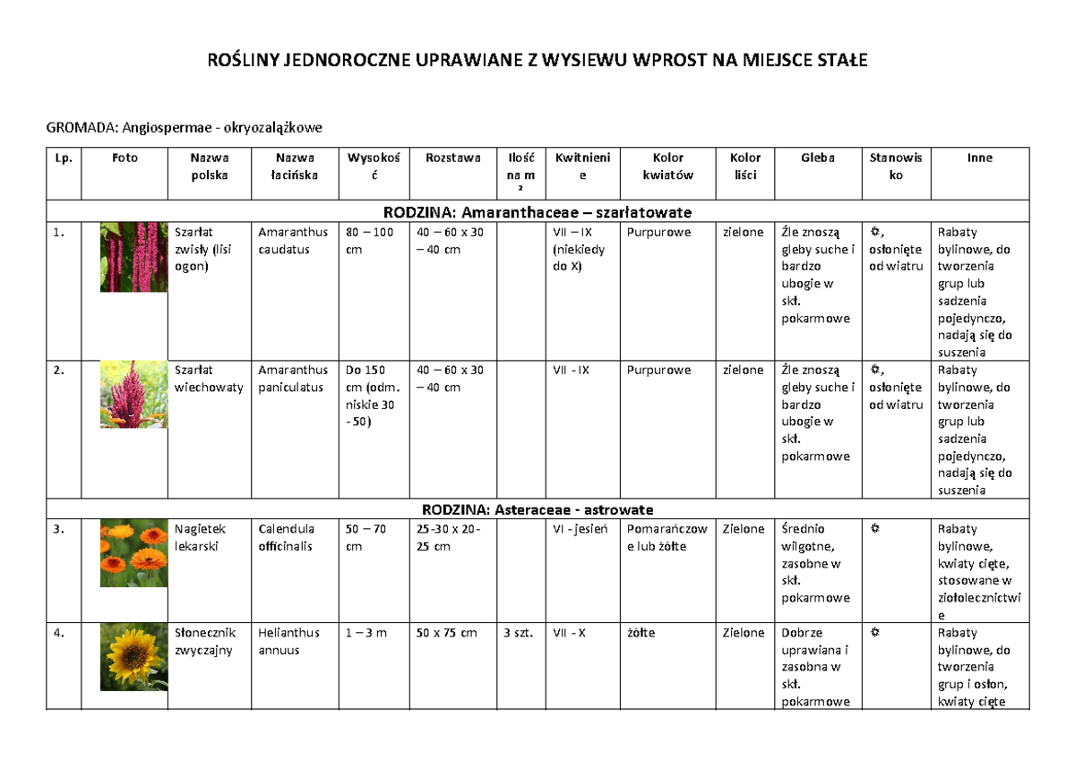Rośliny jednoroczne i dwuletnie - tabela - ROŚLINY JEDNOROCZNE