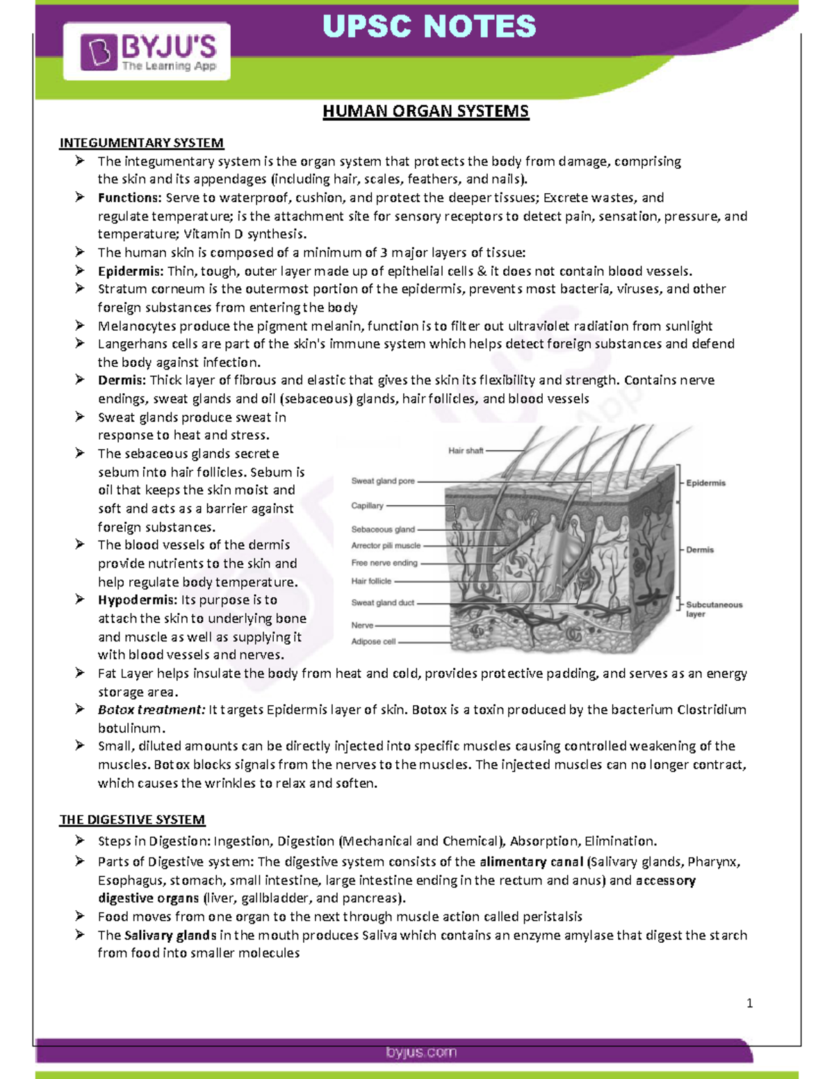 ST Biology Lecture 1 HUMAN ORGAN SYSTEMS INTEGUMENTARY SYSTEM The