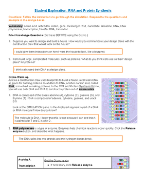 Protein Synthesis Gizmo - Student Exploration: RNA and Protein Synthesis  Directions: Follow the - Studocu