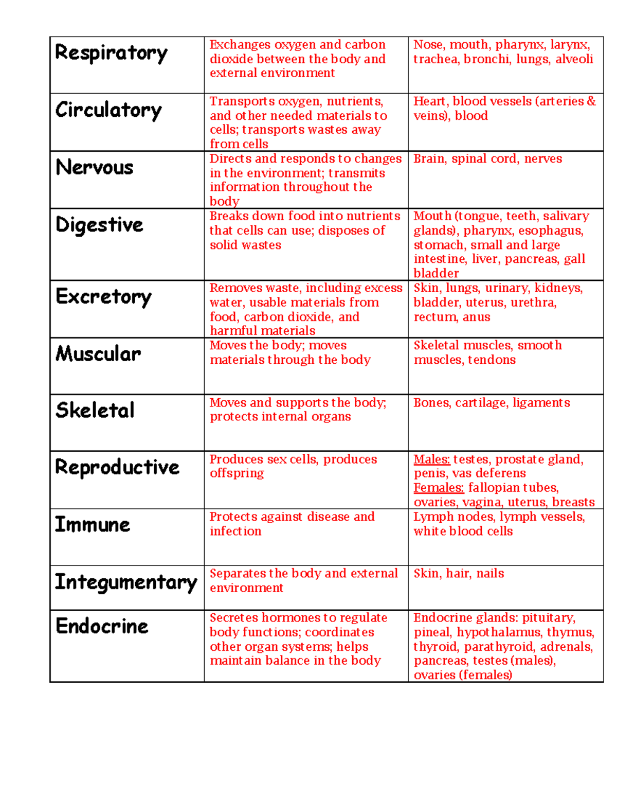 human-organ-systems-graphic-organizer-key-converted-respiratory