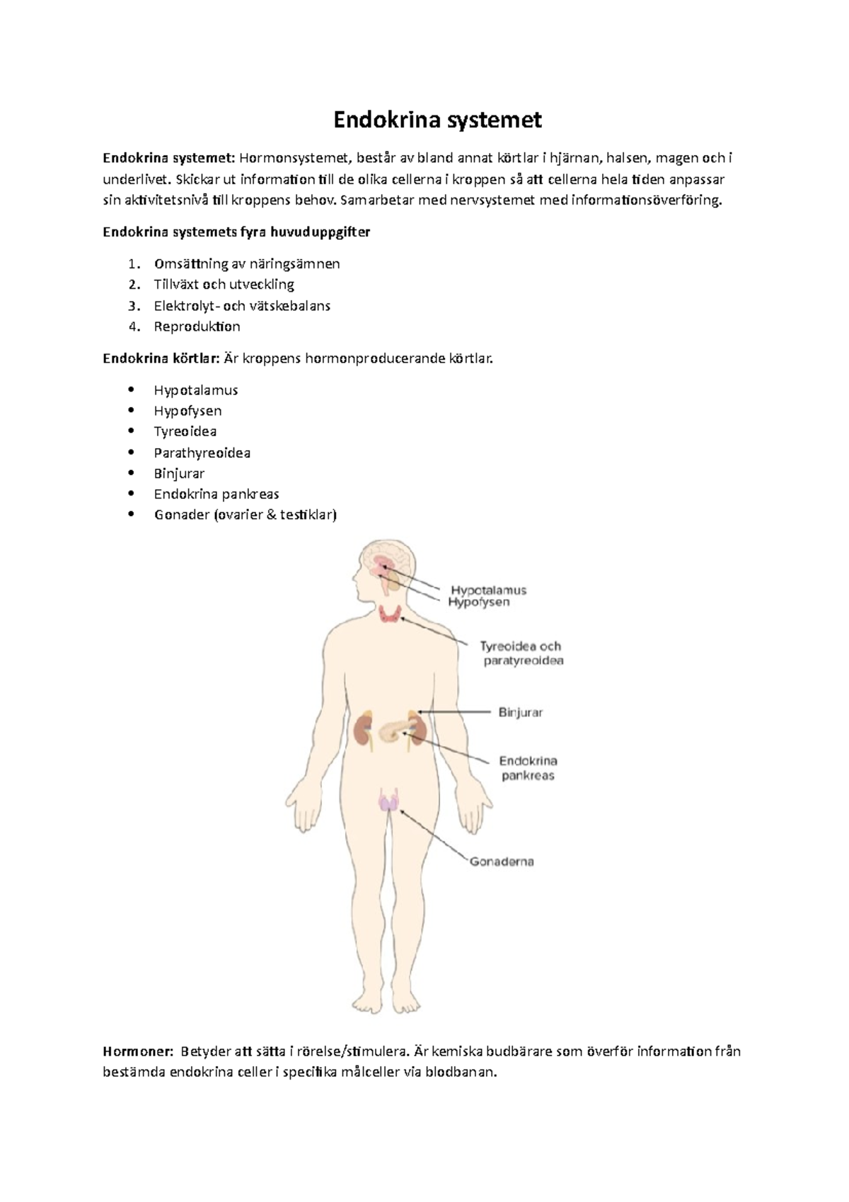 Endokrina systemet - Summering av medeasy info - Endokrina systemet ...