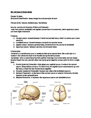 Anatomy & physiology Ch 9 - Hematologic System Ch. 9 Hematologic System ...