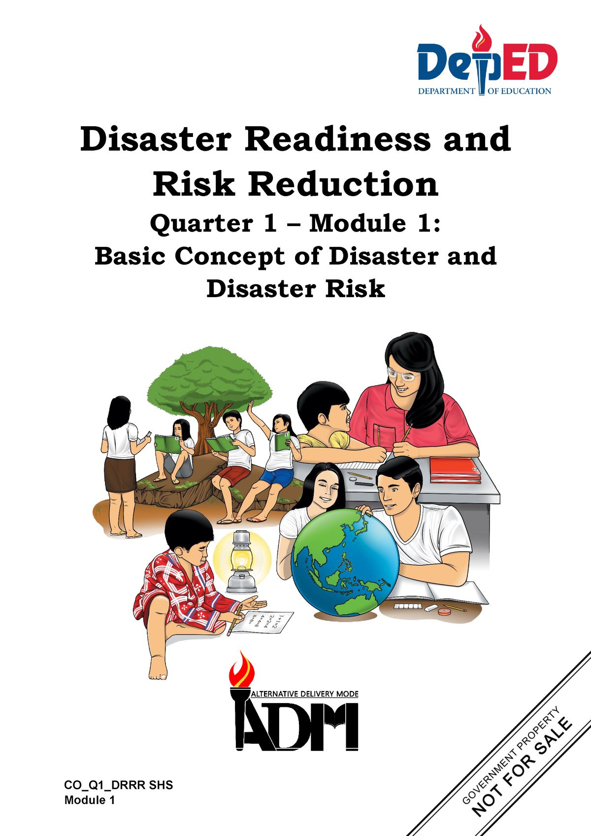 disaster risk management dissertation