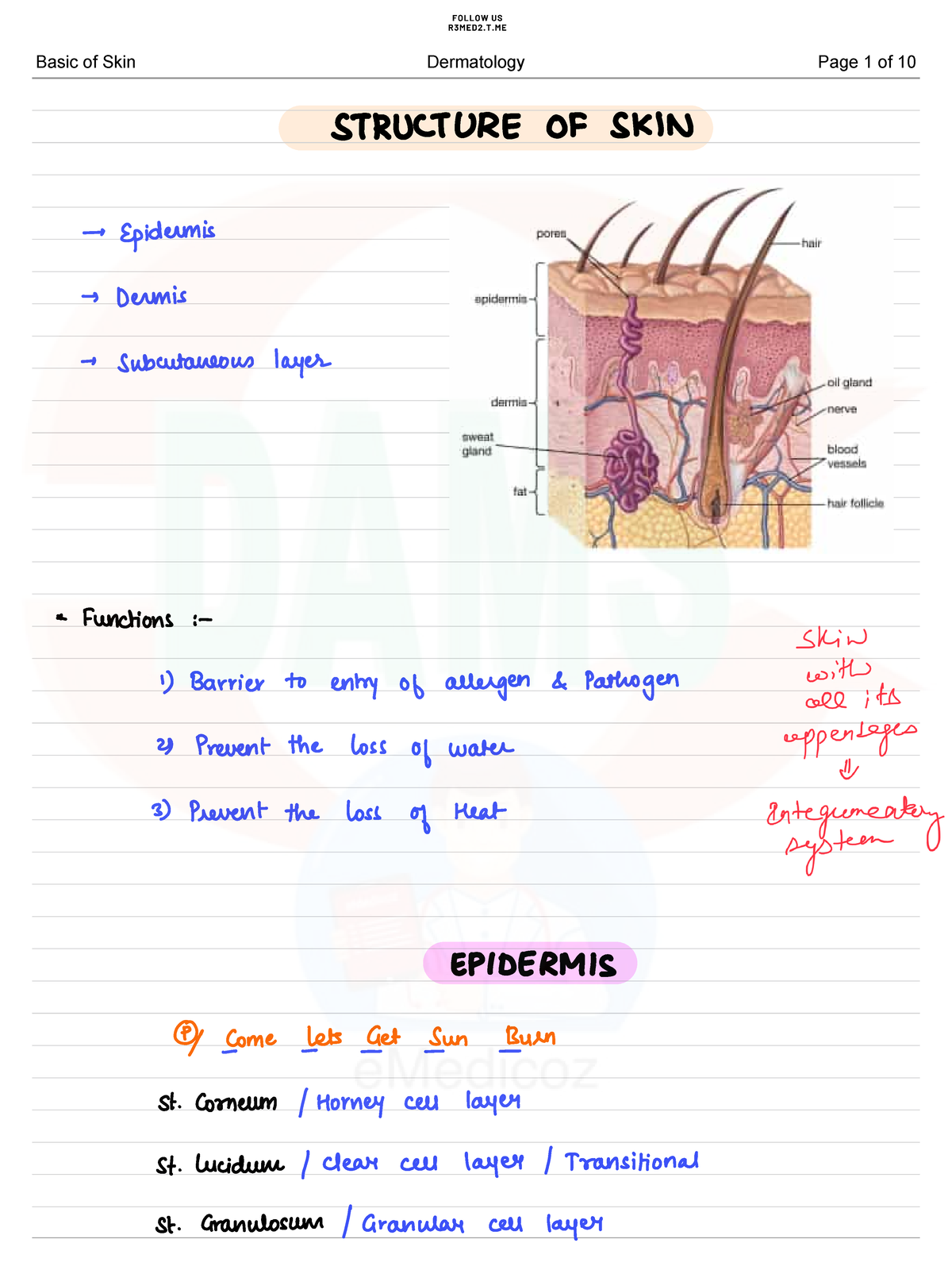 Dams Dermatology - Notess - Basic of Skin Dermatology Page 1 of Basic ...