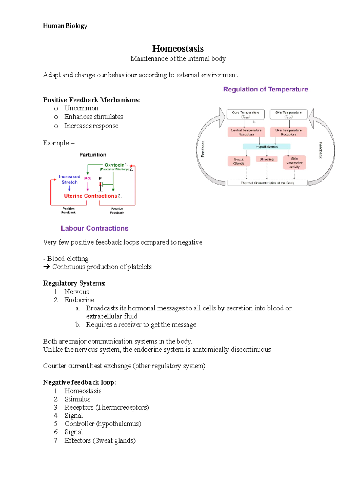 Topic 1: Homeostasis (lecture Notes) - Human Biology Homeostasis ...