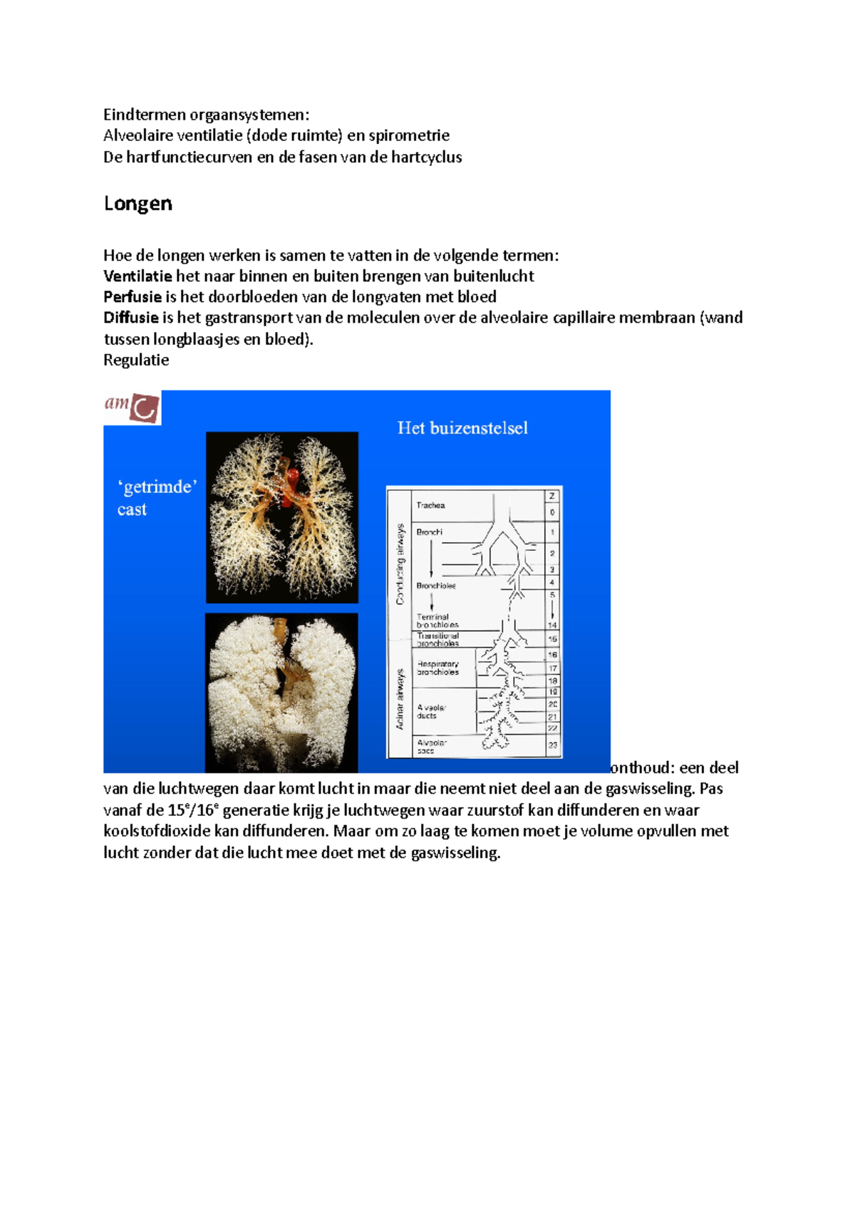 Fysiologie hart en longen Eindtermen orgaansystemen Alveolaire ventilatie (dode ruimte) en Fysiologie hart en longen Eindtermen orgaansystemen Alveolaire ventilatie (dode ruimte) en