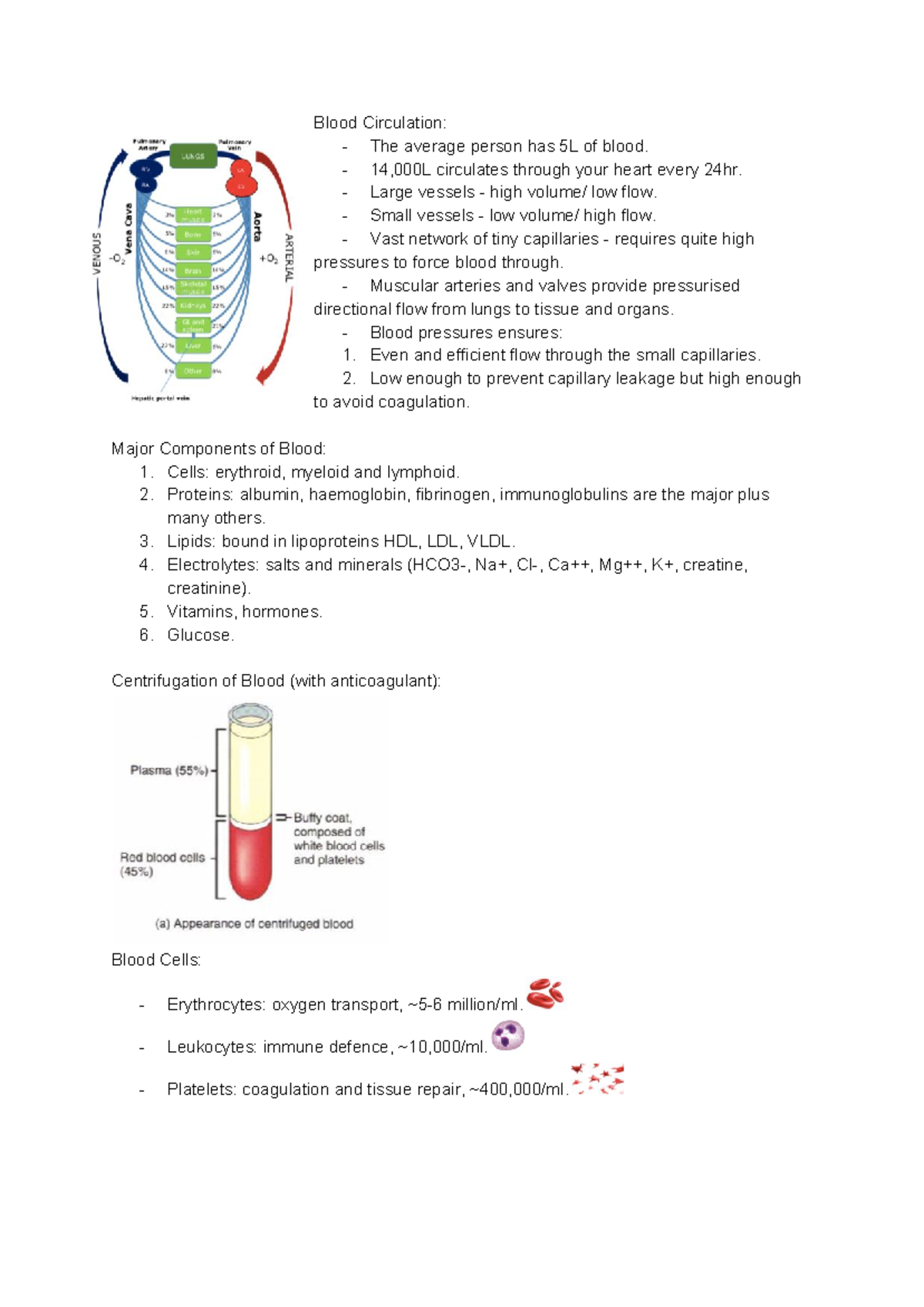 Blood & Immune - Lecture notes 21-25 - Blood Circulation: - The average ...