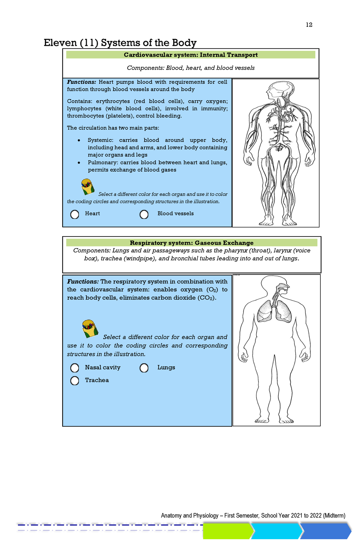 Notes-and-module - 1111 - 12 Anatomy And Physiology – First Semester ...