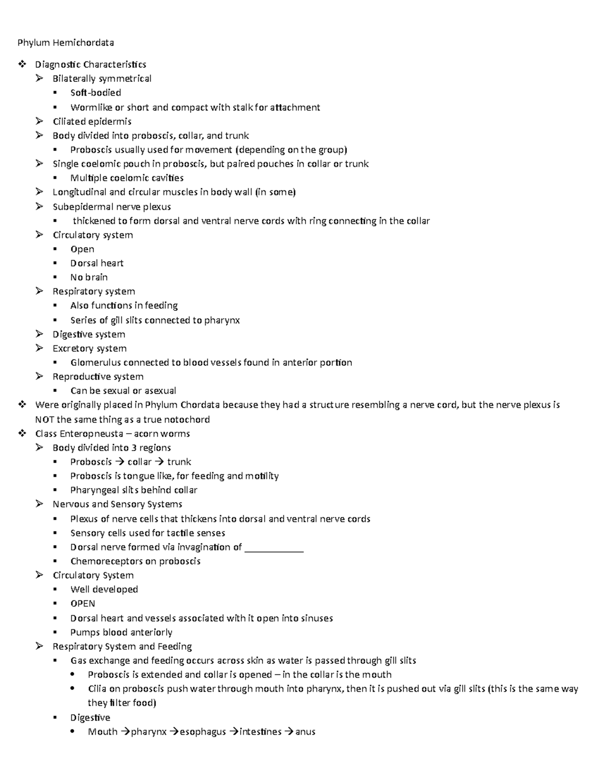 Exam 4 Lecture Notes - Phylum Hemichordata Diagnostic Characteristics ...