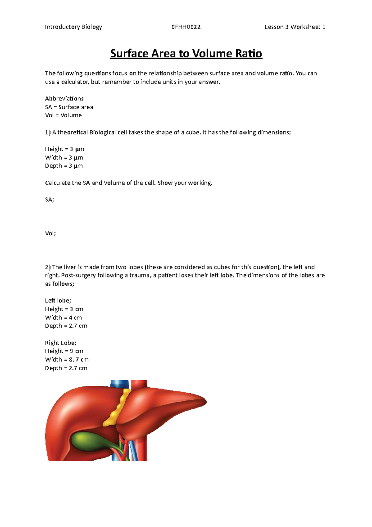 surface-area-to-volume-ratio-problems-introductory-biology-0fhh0022