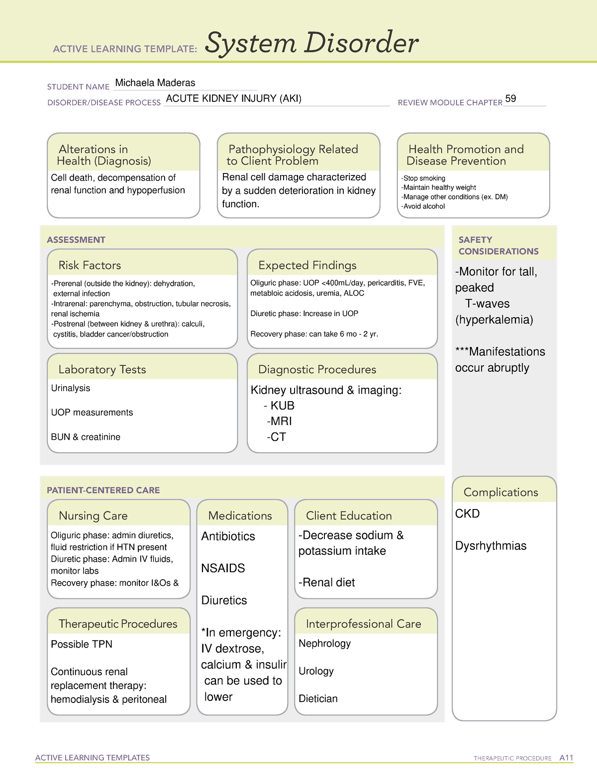 Acute Kidney Injury - System Disorder - ACTIVE LEARNING TEMPLATES ...