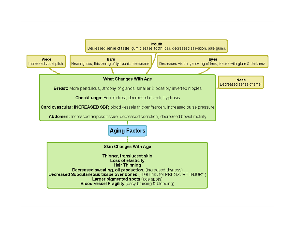 Aging Factors Extra Mind Map - ENG 110 - Cal Poly Pomona - Studocu