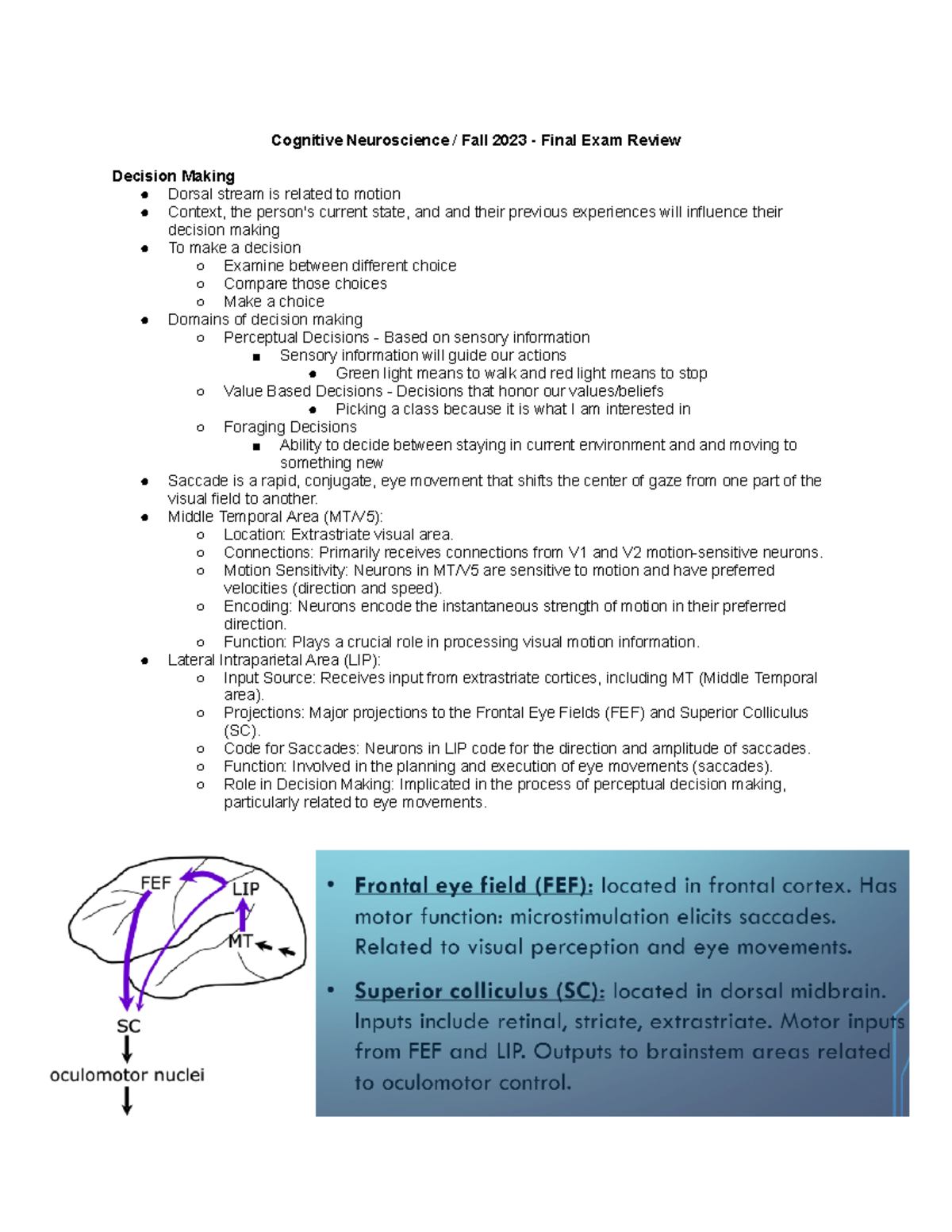 Final Exam Review Guide - Cognitive Neuroscience / Fall 2023 - Final ...