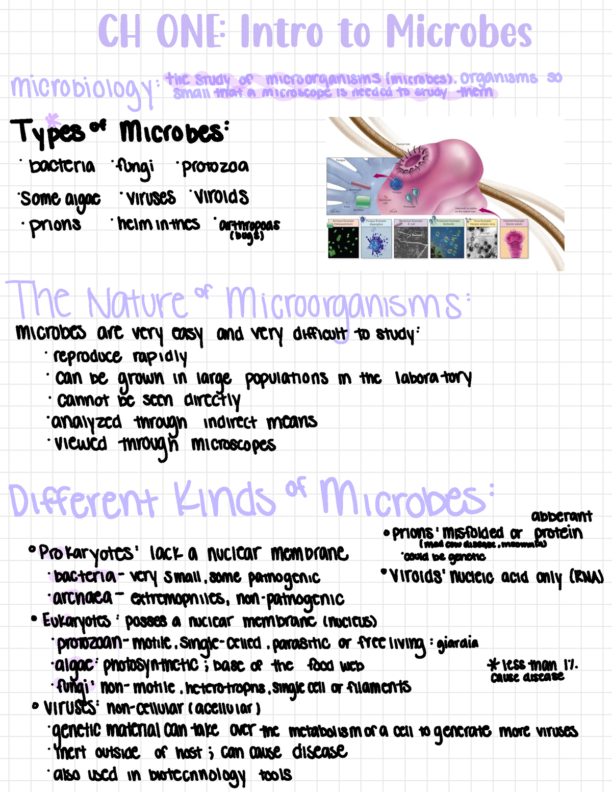 CH ONE MICRO - Lecture Notes 2 - CH ONE: Intro To Microbes : The Study ...