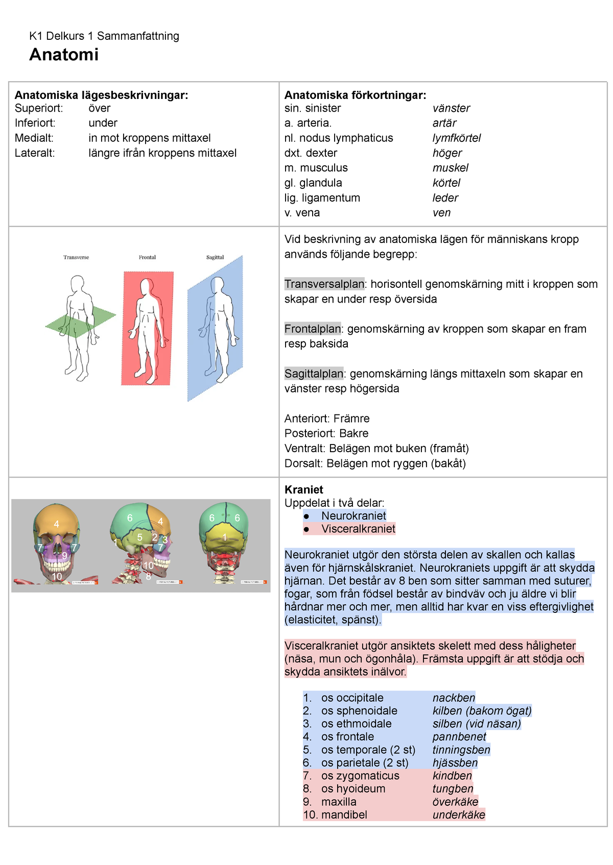 Huvudets Anatomi - K1 Delkurs 1 Sammanfattning Anatomi Anatomiska ...